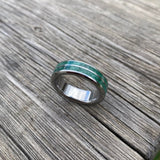 Green Jade and Titanium Ring with Double Inlay